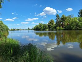 401 224 Sychrovský rybník - kontrola 4.7.25.jpg